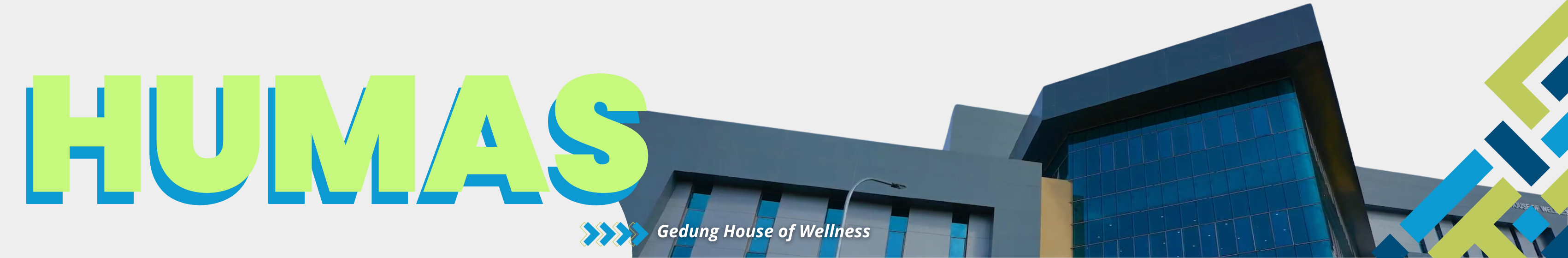 banner 800x65